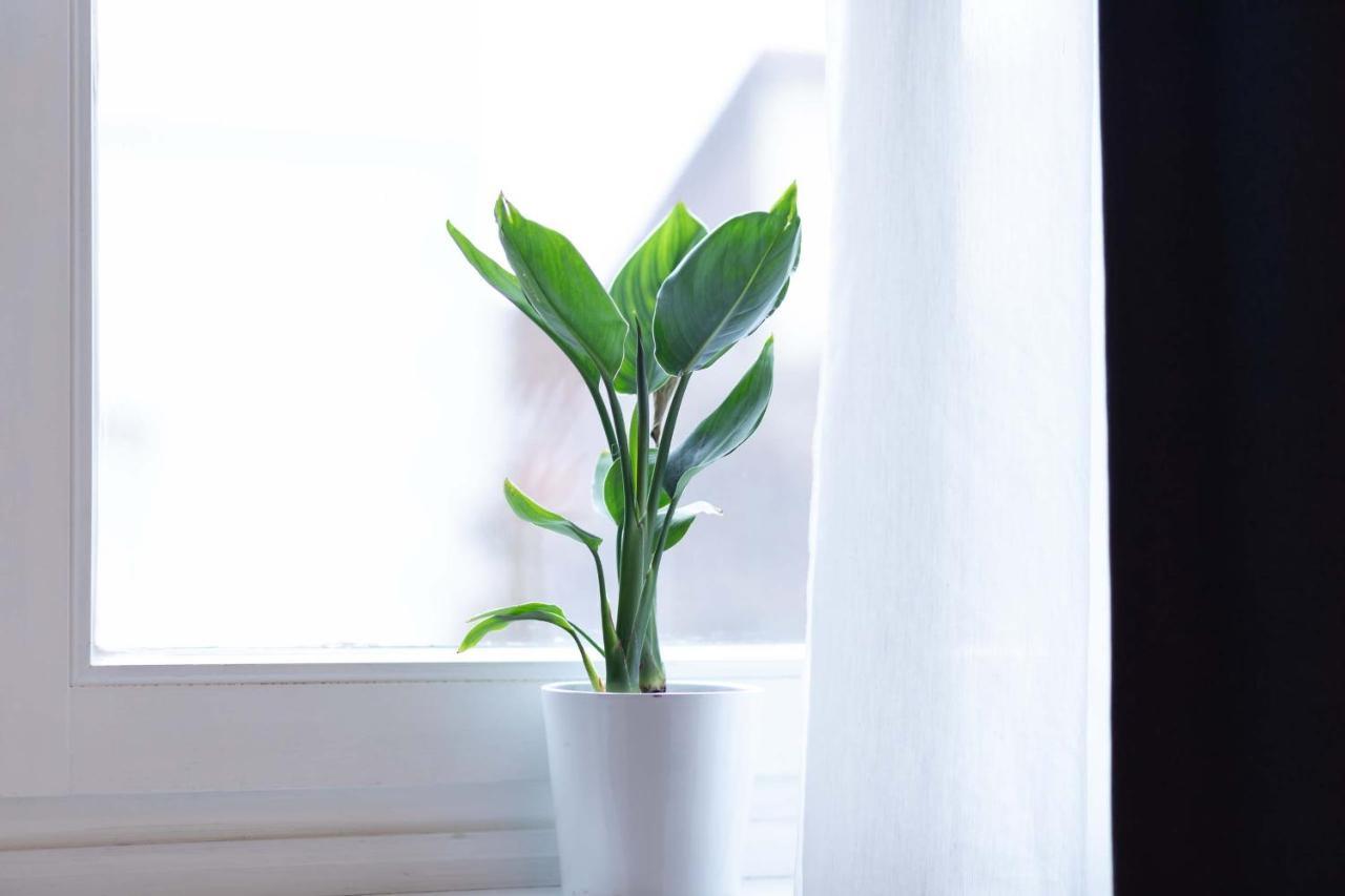 Apartment 54 - Ferienwohnung باد آرولزن المظهر الخارجي الصورة